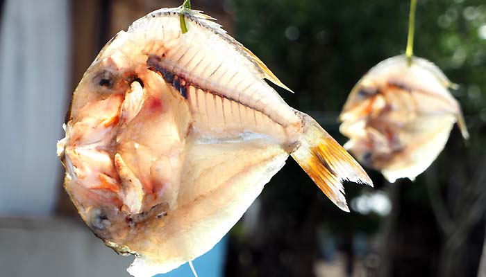 Hiking and fishermen in nosy be